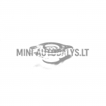 Radiatoriaus dangtelis Ligier Ambra