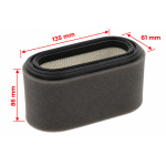 Oro filtras LONCIN LC 1P85FA varikliui  180100097-0001