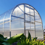 &Scaron;iltnamis KLASIKA Arkinis (Plotis 3 m.) 6 m. 6 mm. polikarbonatas