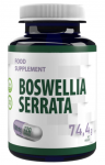 Hepatica Boswellia Serrata 120 kaps. (10:1 Extract)