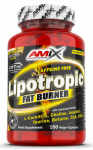 Amix Nutrition Lipotropic Fat Burner 100 kaps.