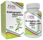 Tulip BioPharma Andrographis Paniculata Extract 90 kaps.