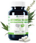 Alzuro Labs Artemisia Vulgaris Extract 180 kaps.