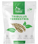 Raw Powders Tribulus Terrestris 120 kaps.