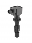 Ritė, uždegimas BorgWarner (BERU) ZS618