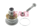 &Scaron;arnyras / girgždukas Schaeffler FAG 825 0245 10