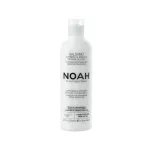 Noah maitinamasis mangų plaukų kondicionierius maitinantis ir drėkinantis, 250 ml