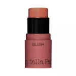 Diego Dalla Palma, All In One, Blush Stick, 42, Salmon, 4 g