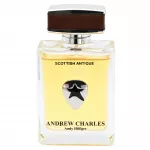 Andrew Hilfiger Scottish Antique Eau de Toilette vyrams, 100 ml