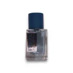 Gianfranco Ferre, Fougere Italiano, Eau De Toilette, For Men, 30 ml