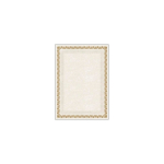 Dekoratyvinis spalvotas popierius "ARKADY ZLATA" 170 g 25 lapai