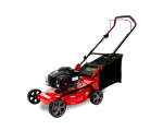 Stumdoma benzininė vejapjovė RIDER WYS-18