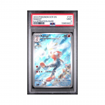 2024 Pokemon SCR EN Raboot