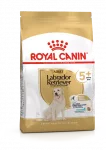 Royal Canin Labrador Retriever Adult 5+ - Specialus sausas maistas vyresnio amžiaus &scaron;unims 12 kg-12kg