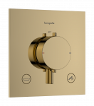 Du&scaron;o termostatinis mai&scaron;ytuvas Hansgrohe Ecostat Comfort E įmontuojamas, 2 i&scaron;vestims, poliruoto auksinio efekto 33716990