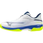 MIZUNO Wave Exceed Court molio teniso bateliai