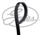 Gates 4PK1003 juostinis diržas