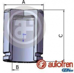 Autofren D025690 suporto stūmoklis