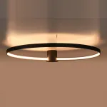 Lubinis &scaron;viestuvas 47W &ndash; žiedinis, baltas, 3000K LED