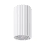 Lubinis LED &scaron;viestuvas 8W &ndash; cilindrinis, baltas, DALI/Mygtukinis reguliavimas