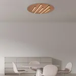 Smėlio Raudonos ir Juodos Spalvos Apvalus LED Lubinis &Scaron;viestuvas