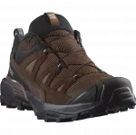 SALOMON batai X Ultra 360 LTR GTX dark earth/delicioso/sharkskin - EU 48 (UK 12.5)