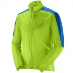 SALOMON striukė nuo vėjo Fast Wing green/blue - S