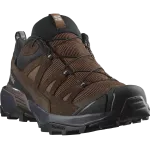 SALOMON batai X Ultra 360 LTR GTX dark earth/delicioso/sharkskin - EU 43 1/3 (UK 9)