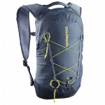 SALOMON kuprinė XT 10 spellbound/grisaille/bright chartre