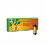 GINKO BILOBA SU BIČIŲ PIENELIU 10ML x10