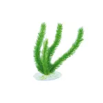 Aquael plastikinis augalas akvariumui ap-048, 20cm