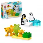LEGO DUPLO gyvūnų &scaron;eimos: pingvinai ir liūtai 10442