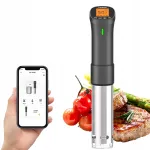 Sous vide maisto cirkuliatorius, 1000 W, su Wi-Fi temperatūros valdymu