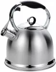 Plieninis virdulys Maestro, 2,9 l, sidabrinis