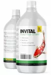 Tvenkinio filtro paleidimo bakterijos INVITAL Pond Filter Start, 1000 ml