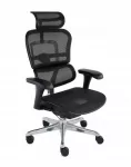Biuro kėdė Ergohuman 2 Basic, juoda, orui pralaidus tinklelis, ergonomi&scaron;ka, su pasukama baze