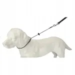 Dingo Gear dygliuotas antkaklis, 3 mm, apimtis iki 45 cm