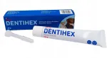 Dantų pasta &scaron;unims ir katėms Dentihex su chlorheksidinu, 20 g