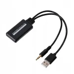 Bluetooth adapterio laidas radijui, 3,5 mm AUX, USB, universalus, Bluetooth 5.3