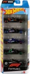 Žaislinės ma&scaron;inėlės Hot Wheels F1 Race Team, 5 vnt., 1:64