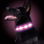 LED &scaron;viečiantis vandeniui atsparus rožinis &scaron;uns antkaklis, įkraunamas USB