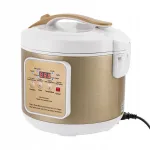 6 l juodosios fermentuoto česnako fermentatorius, 220&ndash;240 V, automatinis