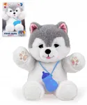 Interaktyvus &scaron;uo Husky DUMEL Discovery, tinkamas vaikams nuo 18 mėn.