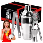 Gėrimų plaktuvo rinkinys 500 ml, dovanai
