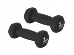 Hantelių rinkinys 2 x 1 kg su PVC danga