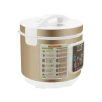 Fermentavimo puodas juodajam česnakui, 5 l, 90 W, 220 V, auksinis, EU