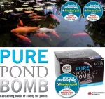 Tvenkinių vandens valymo priemonė Evolution Aqua Pure Pond Bomb