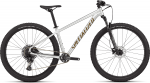 Kalnų dviratis Specialized Rockhopper Expert Gloss Silver Dust/Satin Burnt Gold Metallic