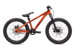 Kalnų dviratis Specialized P.1 20 Satin Rusted Red Overspray