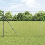Euro tvora Juoda 1,6 x 10 m PVC padengta geležis